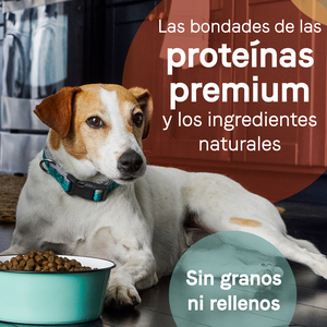Canidae Pure Alimento Natural sin Granos para Perro Adulto Receta Pato y Camote, 10.8 kg
