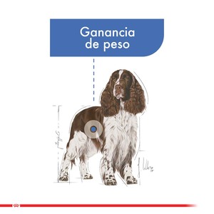 Royal Canin Alimento Seco Weight Care Light para Perro Adulto Control De Peso Raza Mediana Receta Pollo, 10 kg