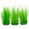 Imagitarium Paquete de Pasto Decorativo para Acuario, 6 Piezas Imagitarium Paquete de Pasto Decorativo para Acuario, 6 Piezas