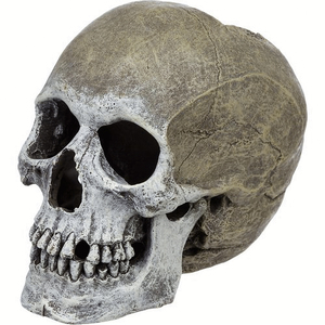 Imagitarium Cráneo Decorativo para Acuario