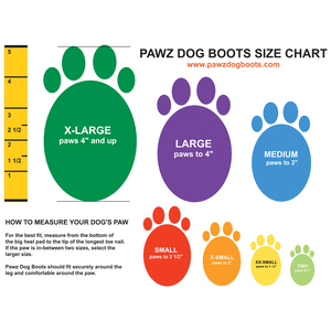 Pawz Dog Boots Botas de Caucho Reutilizables e Impermeables para Perro, XX-Chico