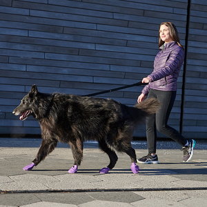 Pawz Dog Boots Botas de Caucho Reutilizables e Impermeables para Perro, Grande