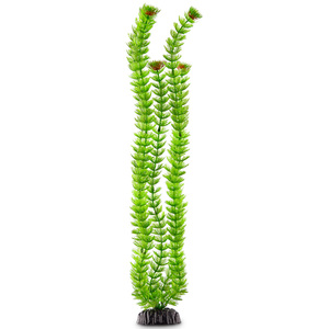 Imagitarium Planta Ambulia de Decoración para Acuario Imagitarium Planta Ambulia de Decoración para Acuario