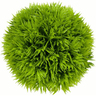 Imagitarium Bola de Musgo Decorativo para Acuario, 1 Pieza Imagitarium Bola de Musgo Decorativo para Acuario, 1 Pieza