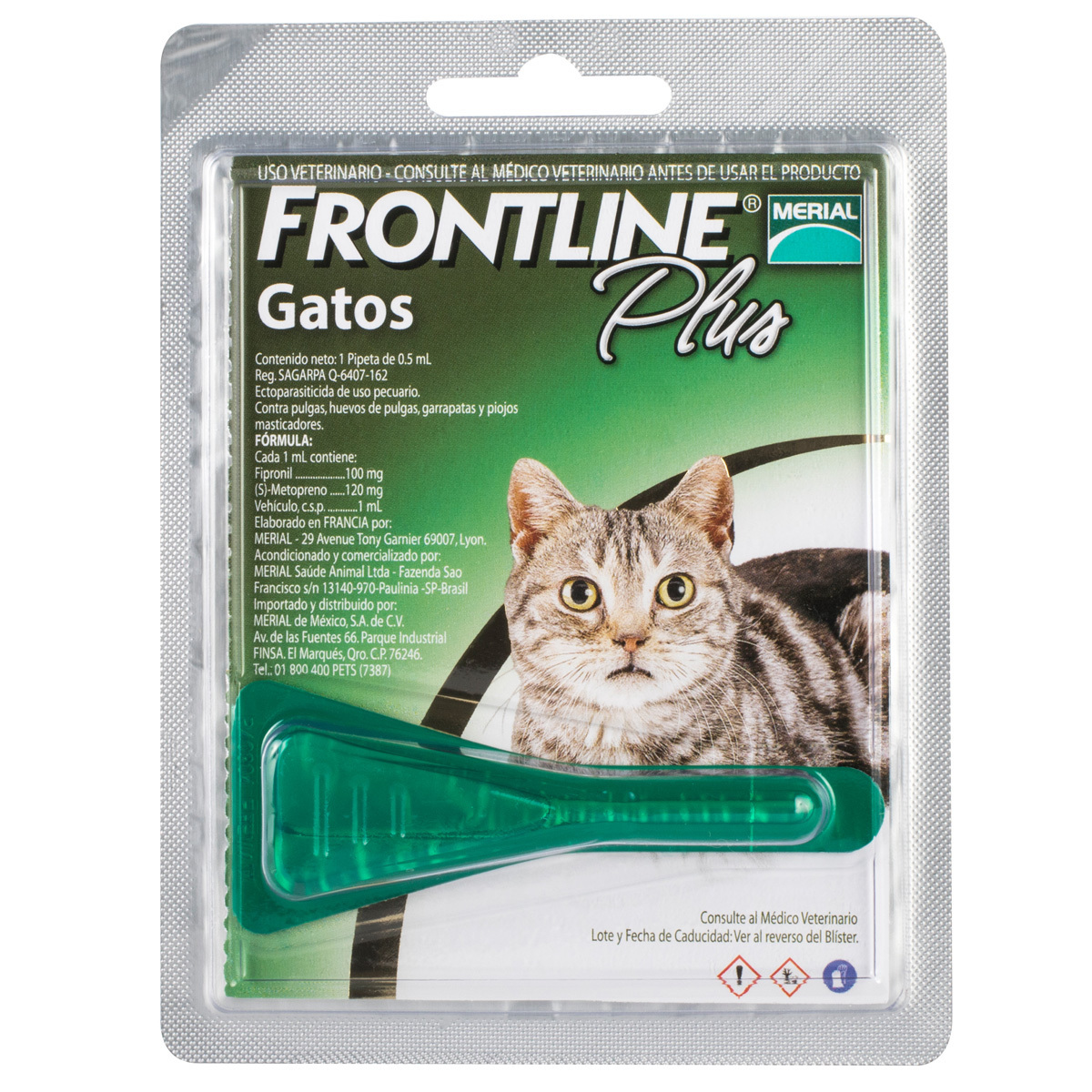 Frontline Plus Pipeta Antiparasitaria Externa para Gato, Hasta 10 kg