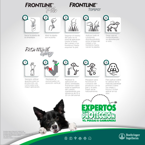 Frontline Plus Pipeta Antiparasitaria Externa para Perro, 10 - 20 kg