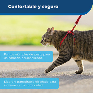 Petsafe Arnés y Correa Come With Me Kitty Color Rojo para Gato, Mediano
