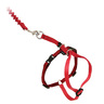 Petsafe Arnés y Correa Come With Me Kitty Color Rojo para Gato, Mediano Petsafe Arnés y Correa Come With Me Kitty Color Rojo para Gato, Mediano