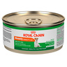 Royal Canin Beauty Alimento Húmedo Piel y Pelo Saludable para Perro Adulto Raza Pequeña, 150 g
