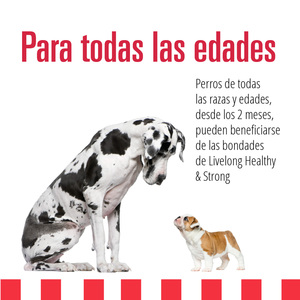 Livelong Healthy & Strong Alimento Natural Húmedo para Perro Todas las Edades Receta Cordero/Res/Camote, 362 g