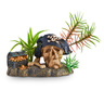 Imagitarium Cráneo de Pirata con Planta para Acuario Imagitarium Cráneo de Pirata con Planta para Acuario