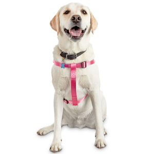 Youly Arnés Confort de Nylon Ajuste Romano Color Rosa para Perro, Grande/ X-Grande