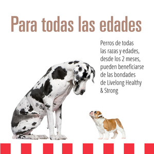 Livelong Healthy & Strong Alimento Natural Húmedo para Perro Todas las Edades Receta Cerdo/Camote, 362 g