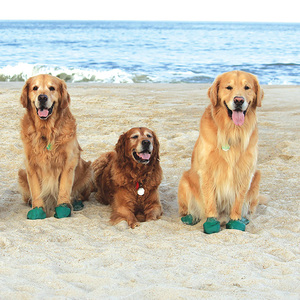 Pawz Dog Boots Botas para Paseo Verdes, X-Grande