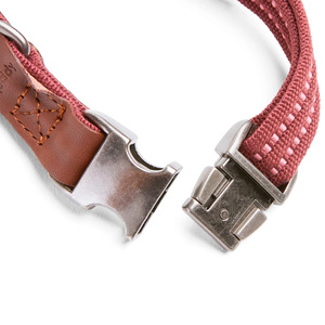 Reddy Collar Diseño Reforzado Color Vino con Broche Metálico para Perro, Grande