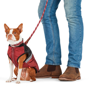 Reddy Collar Diseño Reforzado Color Vino con Broche Metálico para Perro, Grande