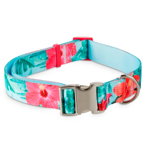 Good2Go Collar Azul Cielo Diseño Rosas de China con Broche Plateado para Perro, XX-Grande/XXX-Grande