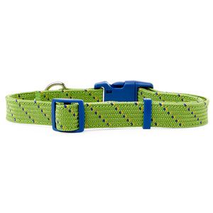 Youly Collar Verde Nylon Palmeado Diseño Puntos con Broche Azul para Perro, Chico