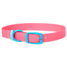 Youly Collar Rosa Resistente al Agua con Hebilla Turquesa para Perro, Mediano Youly Collar Rosa Resistente al Agua con Hebilla Turquesa para Perro, Mediano