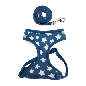 Youly Set Arnés de Malla y Correa Diseño Estrellas para Gato, Azul