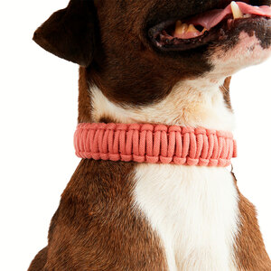 Youly Collar de Cuerda Trenzada Color Cobre con Hebilla para Perro, Mediano