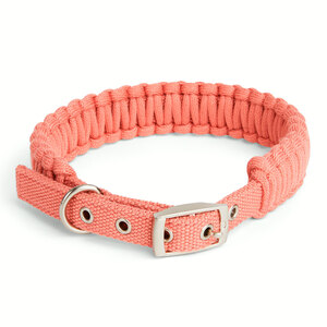 Youly Collar de Cuerda Trenzada Color Cobre con Hebilla para Perro, Mediano