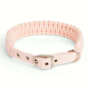 Youly Collar de Cuerda Trenzada Color Rosa con Hebilla para Perro, Chico