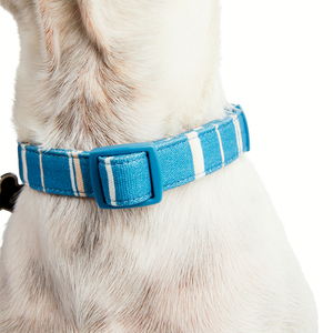 Youly Collar Plano Ajustable Color Azul Diseño a Rayas para Perro, Chico