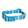 Youly Collar Plano Ajustable Color Azul Diseño a Rayas para Perro, Chico