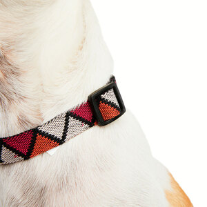 Youly Collar Plano con Diseño Triangular Rojo/ Naranja para Perro, Chico