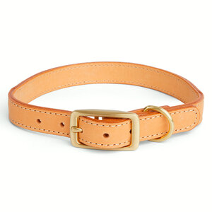 Youly Collar Liso de Piel con Detalles Multicolor con Hebilla para Perro, Chico