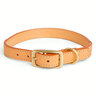 Youly Collar Liso de Piel con Detalles Multicolor con Hebilla para Perro, Mediano Youly Collar Liso de Piel con Detalles Multicolor con Hebilla para Perro, Mediano