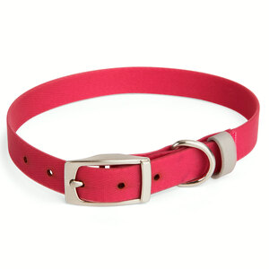 Youly Collar Liso Lavable Color Rojo con Hebilla para Perro, Mediano