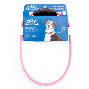 Youly The Extrovert Collar LED de Seguridad para Perros, Unitalla