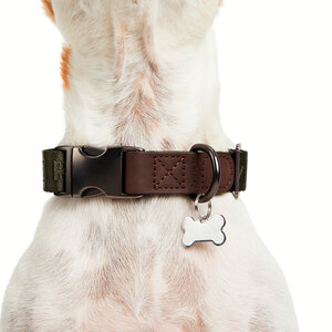 Reddy Collar Diseño Jacquard Color Verde para Perro, Grande/X-Grande