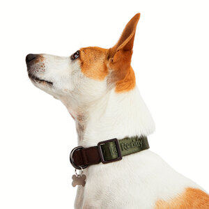 Reddy Collar Diseño Jacquard Color Verde para Perro, Grande/X-Grande