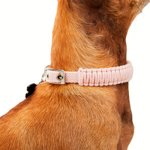 Youly Collar de Cuerda Trenzada Color Rosa con Hebilla para Perro, XX-Chico/X-Chico