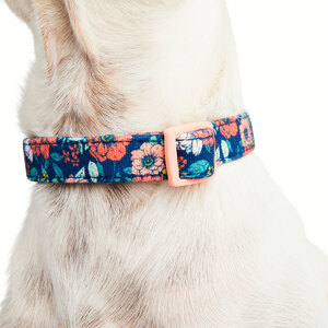 Youly Collar Liso Diseño Multifloral para Perro, Mediano