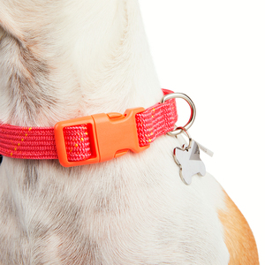 Youly Collar Plano Ajustable Diseño Cuerda Color Rosa/ Naranja para Perro, Chico