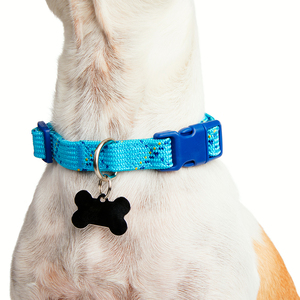 Youly Collar Plano Ajustable Color Azul/ Turquesa Diseño Cuerda para Perro, Mediano