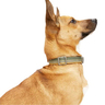 Reddy Collar Ajustable Diseño Rallas Color Verde Olivo con Broche Metálico para Perro, Grande Reddy Collar Ajustable Diseño Rallas Color Verde Olivo con Broche Metálico para Perro, Grande