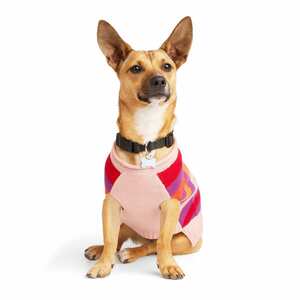 Youly Sweater Color Rosa con Morado Estilo Rayado para Perro, X-Chico