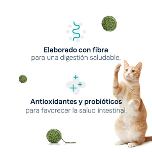 Canidae Goodness Digestion Alimento Seco Natural Salud Digestiva para Gato Adulto Receta Pollo, 4.5 kg