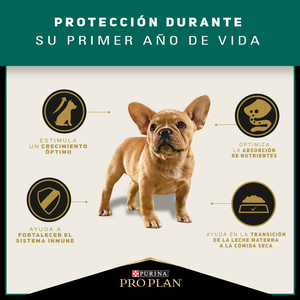 Pro Plan Alimento Seco para Cachorro de Razas Pequeñas, 1 kg