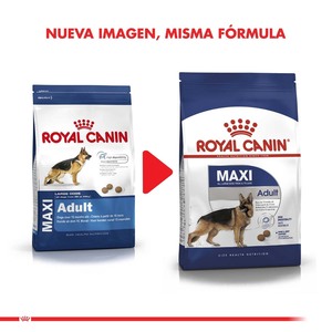 Royal Canin Alimento Seco para Perro Adulto Raza Maxi, 15 kg