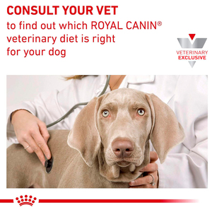 Royal Canin Alimento Seco para Perro Medicado Anallergenic Canine, 3 kg
