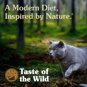 Taste of the Wild Canyon River Alimento Natural para Gato Todas las Etapas de Vida Receta Trucha y Salmón, 6 kg