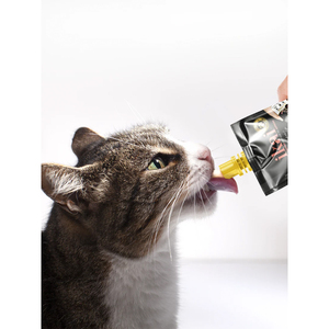 Ikai Premio Cremoso Natural para Gato Receta Salmón, 60 g