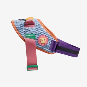Zee.Dog Galaxy FlyHarness Arnés Ultraligero de Ajuste Noruego Multicolor para Perro, X-Chico Zee.Dog Galaxy FlyHarness Arnés Ultraligero de Ajuste Noruego Multicolor para Perro, X-Chico