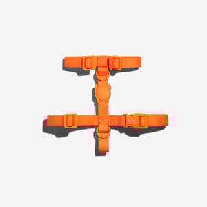 Zee.Dog Neopro Tangerine Arnés de Ajuste Romano Color Naranja para Perro, Mediano Zee.Dog Neopro Tangerine Arnés de Ajuste Romano Color Naranja para Perro, Mediano